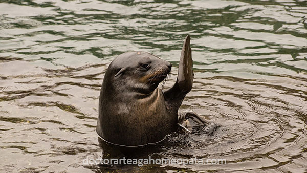se amable con las personas para sentirte feliz